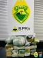 BPRv apreende mais de 15 quilos de maconha durante abordagem a ônibus de viagem em Cruzeiro do Oeste (PR)