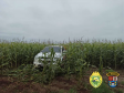 No Oeste do estado, PM apreende dois carros carregados com cigarros contrabandeados