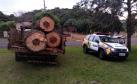 Carga de Pinheiro Araucária é apreendida pela PM no Sudoeste do estado