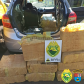Durante feriado de Corpus Christi, BPRv retira de circulação mais de R$ 500 mil em maconha no Paraná