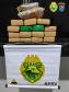 BPRv apreende mais de nove quilos de maconha no Noroeste do estado; parte da droga estava em pó
