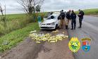 BPRv apreende mais de meia tonelada de maconha ao atender ocorrências distintas no Noroeste do estado
