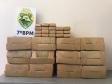 Batalhão do Noroeste do estado apreende 135 quilos de maconha em ação na cidade de Moreira Sales