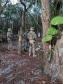 Reforço da presença da PM na Ilha do Mel inibe tráfico de drogas e invasão de áreas de proteção ambiental