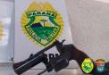 Em seis meses, cães de faro da PM apreendem mais de 38 toneladas de maconha no Paraná