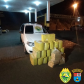 BPRv apreende R$ 1 milhão em maconha durante abordagem no Noroeste do estado
