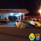 BPRv apreende R$ 1 milhão em maconha durante abordagem no Noroeste do estado