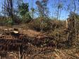 Polícia Ambiental flagra desmatamento e aplica R$ 9,7 mil em multas em Altônia (PR)