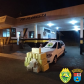 BPRv apreende R$ 1 milhão em maconha durante abordagem no Noroeste do estado