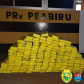 PRE apreende 20 quilos de skunk e 150 quilos de maconha o Interior do estado durante o fim de semana