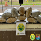 PRE apreende 20 quilos de skunk e 150 quilos de maconha o Interior do estado durante o fim de semana