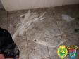 Nos Campos Gerais, PM encontra artefatos explosivos e miguelitos após denúncia anônima