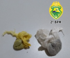 Em situações distintas, PM encaminha dois homens por uso de drogas e aciona Conselho Tutelar no Norte Pioneiro 