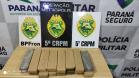 Com a Operação Metrópolis, 5º Comando Regional apreende mais de 360 quilos de maconha e recupera moto furtada