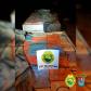 No Oeste do estado, PM apreende carga de cigarros contrabandeados avaliada em mais de 2,5 milhões