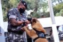 Em seis meses, cães de faro da PM apreendem mais de 38 toneladas de maconha no Paraná