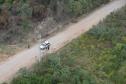 Criança e pai desaparecidos em matagal na RMC são resgatados pela PM