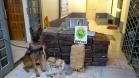 Em seis meses, cães de faro da PM apreendem mais de 38 toneladas de maconha no Paraná