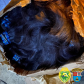 Cabelo humano é apreendido pelo BPRv durante fiscalização em Cruzeiro do Oeste (PR)