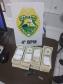 PM recupera carro e apreende U$ 145 mil dólares ao atender ocorrência de perturbação do sossego em Maringá (PR)