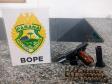 BOPE prende dois homens e apreende duas armas de fogo e um simulacro em Curitiba e na RMC