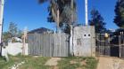 Ação integrada entre Batalhão Ambiental e IAT resgata onça-parda encontrada em área residencial de São José dos Pinhais, na RMC