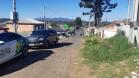 Ação integrada entre Batalhão Ambiental e IAT resgata onça-parda encontrada em área residencial de São José dos Pinhais, na RMC