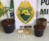 Policiamento do 3º Batalhão resulta em prisões de foragido da justiça e de envolvidos em tráfico e crime ambiental no Sudoeste do PR