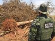 Denúncia leva Polícia Ambiental à aplicar R$ 80 mil em multas por desmatamento em Iporã (PR)