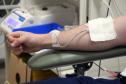 Cadetes da Polícia Militar doam sangue no Hemepar de Curitiba