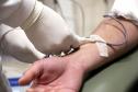 Cadetes da Polícia Militar doam sangue no Hemepar de Curitiba