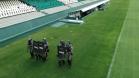 Companhia de Choque faz treinamento no estádio Couto Pereira, em Curitiba