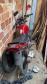 Desmanche com sete motos furtadas é descoberta pelo BPGd em Piraquara, na RMC
