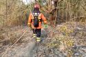 Bombeiros do Paraná completam dez dias de combate a incêndios no Pantanal
