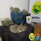 BPRv apreende quase 150 quilos de maconha e R$ 100 mil em eletrônicos no paraná