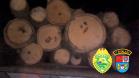 Em Mangueirinha (PR), policiais militares apreenderam caminhão carregado com madeira de Araucária 