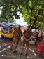 PM e bombeiros reforçam orientações e fiscalizações durante o feriado