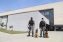 Canil do BOPE e Polícia Científica fazem parceria para alavancar produção científica sobre faro de drogas