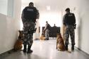 Canil do BOPE e Polícia Científica fazem parceria para alavancar produção científica sobre faro de drogas