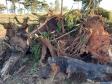 BPAmb-FV aplica mais de R$ 25 mil em multas e flagra descarte irregular de concreto no Paraná