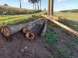 BPAmb-FV aplica mais de R$ 25 mil em multas e flagra descarte irregular de concreto no Paraná