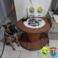 BPRv apreende mais de 380 quilos de maconha e recupera 27 toneladas de arroz durante o feriado de Finados