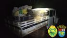 BPFron encontra quatro toneladas de maconha em chácara abandonada em Santa Helena (PR)