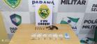 Em Cascavel (PR), PM apreende pés de maconha, duas pistolas airsoft e um revólver em situações distintas