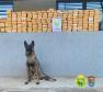 No Noroeste do estado, PM apreende mais de 200 quilos de crack e sete pessoas acabam presas em situações distintas