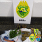 BPRv aborda ônibus que ia para Guaratuba, no Litoral do estado, e localiza maconha com rapaz