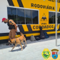 No Posto Rodoviário de Coroados, no Litoral do estado, BPRv encaminha adolescente e apreende porção de maconha