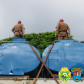 Batalhão Rodoviário faz maior apreensão de maconha no ano em Santa Helena; 4,6 toneladas de droga estavam em caminhão
