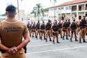 Ações ostensivas em todo o estado são reforçadas pela PM com a Operação Pronto Emprego 