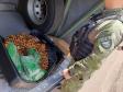 Homem que levaria quase 20 quilos de maconha para Cascavel é preso pelo BPFron em Foz do Iguaçu